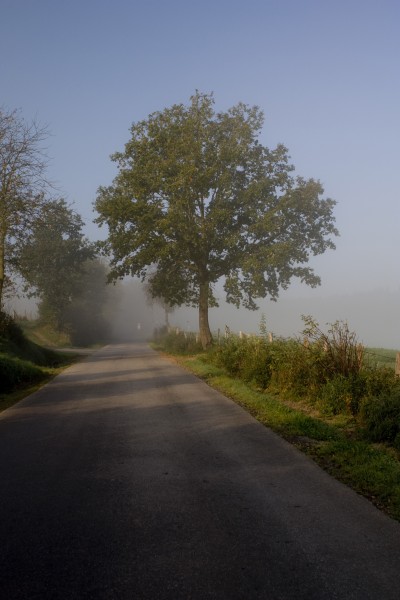 Windradhoehenweg Heinsberg - (c) M Mueller.jpg